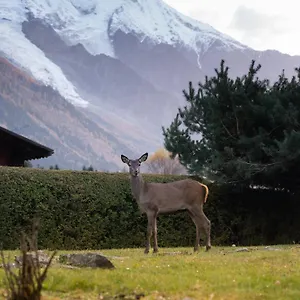 Appartement La Pagode, Vue Mont-blanc Et Jardin Prive, Chamonix